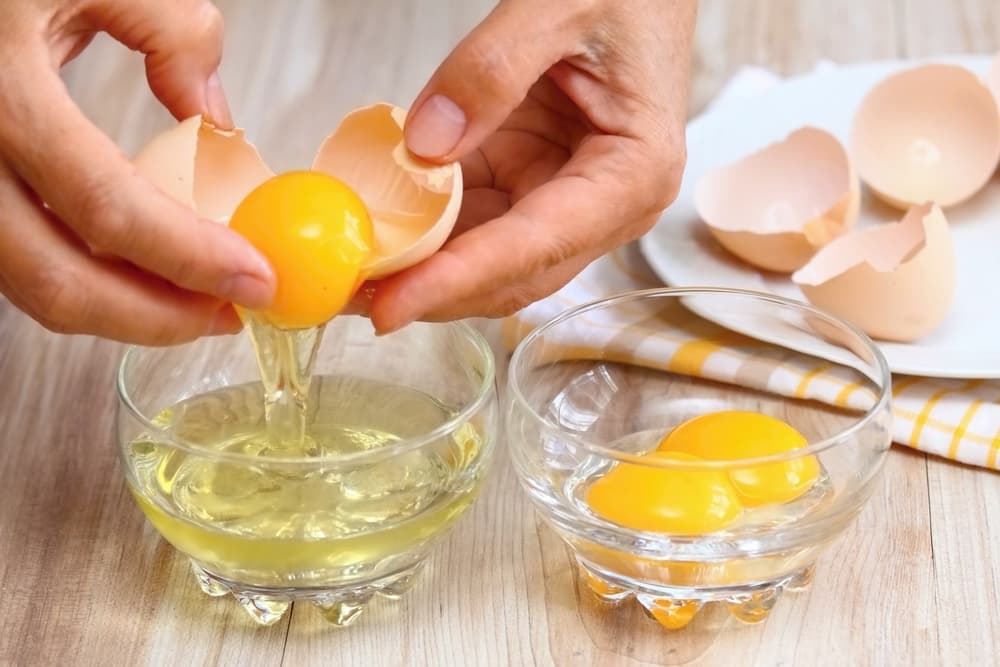 鸡蛋替代食品