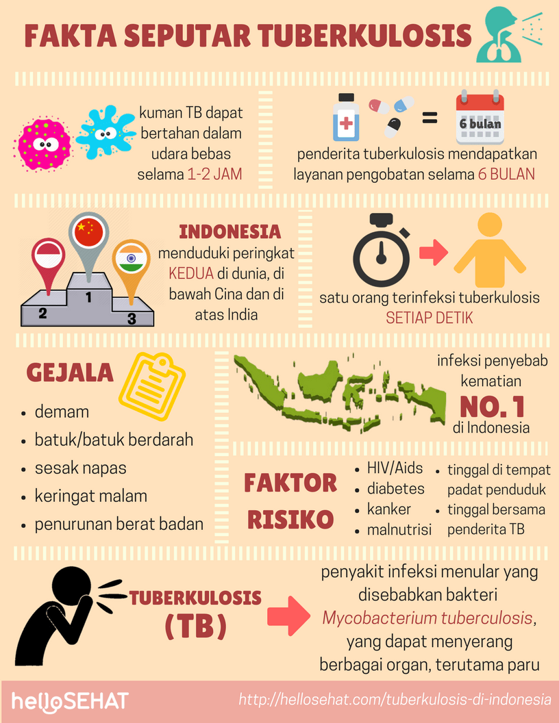 印度尼西亚的结核病结核病