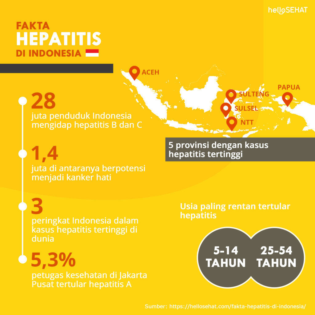 关于印度尼西亚肝炎的事实