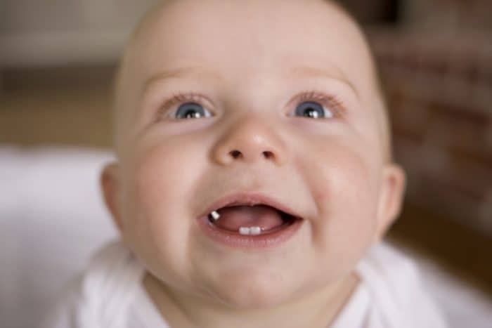 宝宝的牙齿