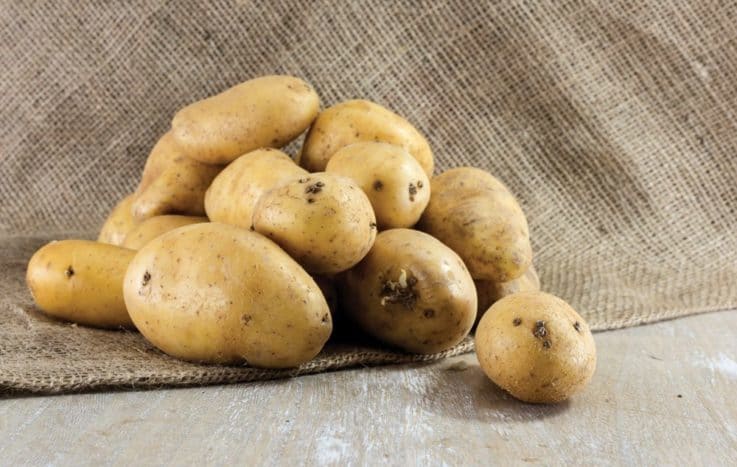 土豆对美容的好处
