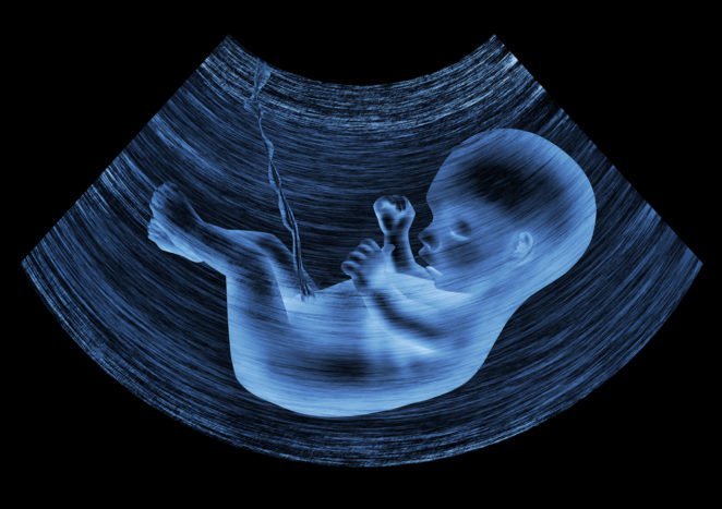 胎儿胎儿发育
