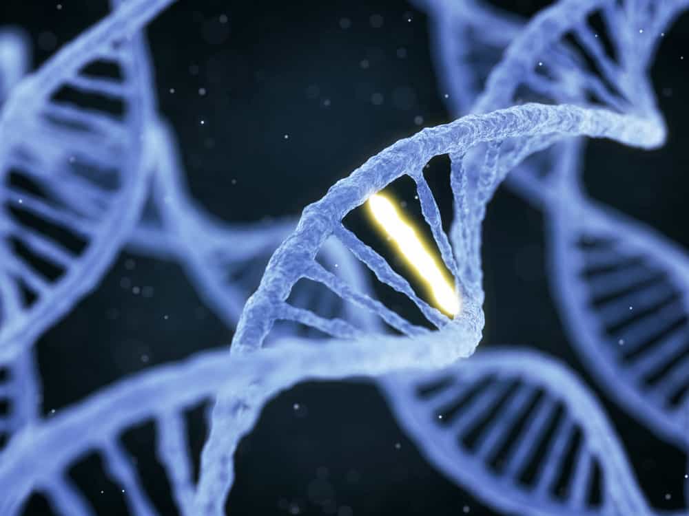 什么是营养基因组学