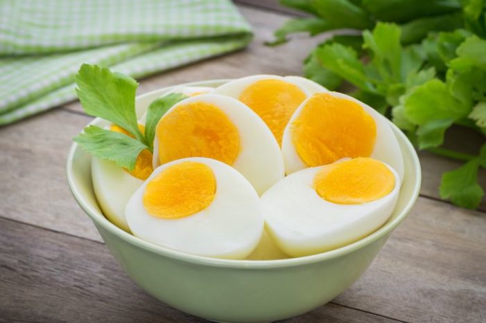 鸡蛋清蛋白